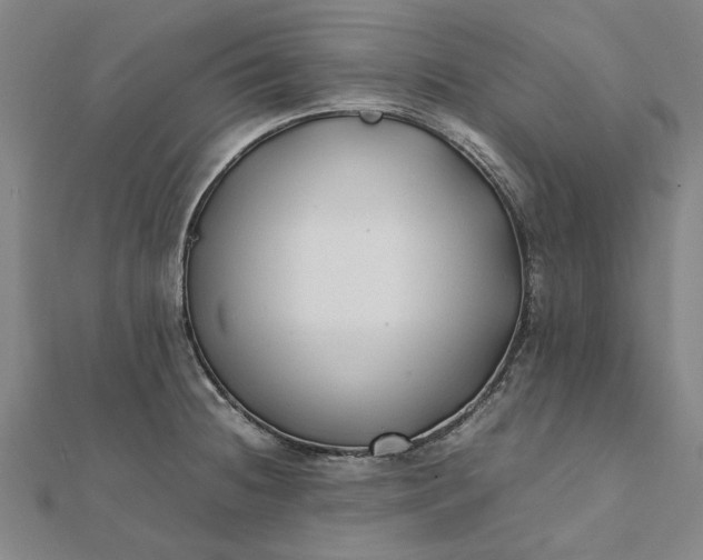 X0000112071236200908181213