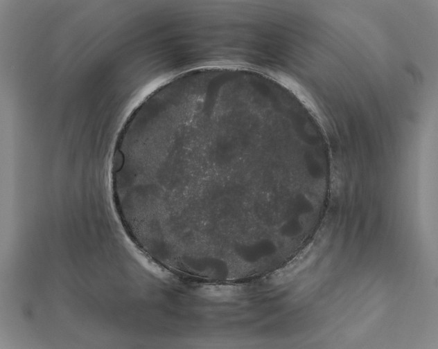 X0000112071237200908181213