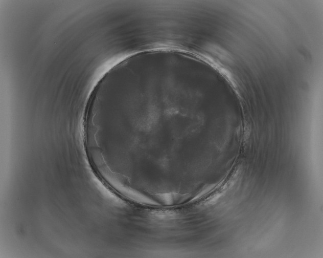 X0000112071239200908181213