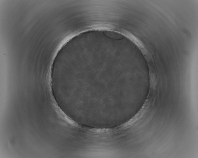 X0000112071240200908181213