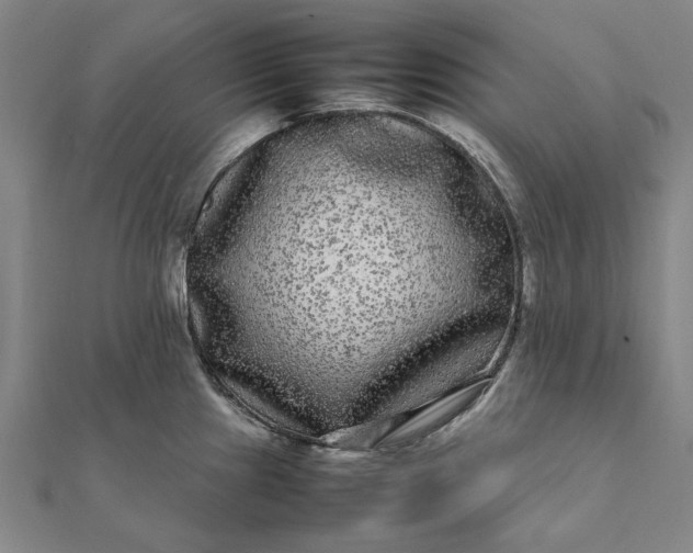 X0000112071241200908181213