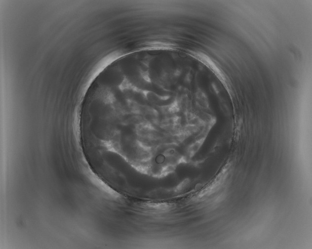 X0000112071243200908181213