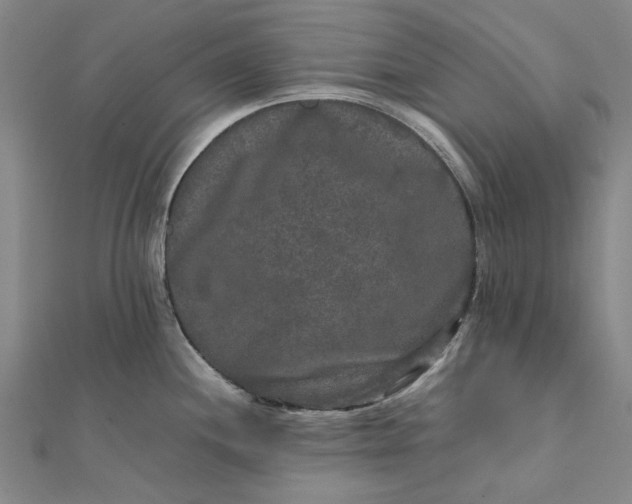 X0000112071244200908181213