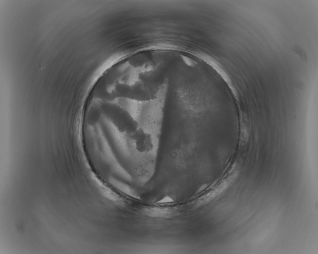 X0000112071245200908181213