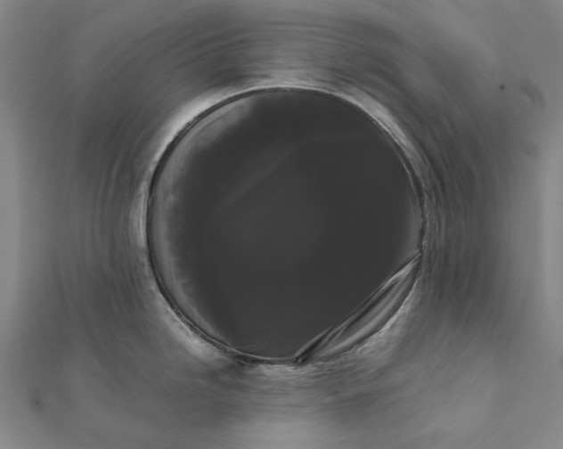 X0000112071246200908181213