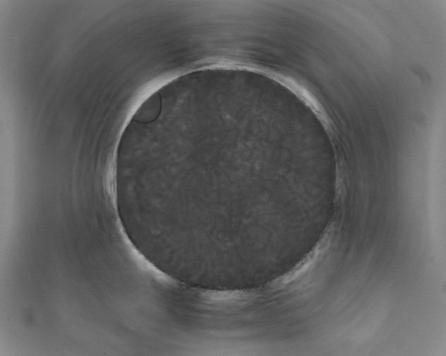 X0000112071247200908181213