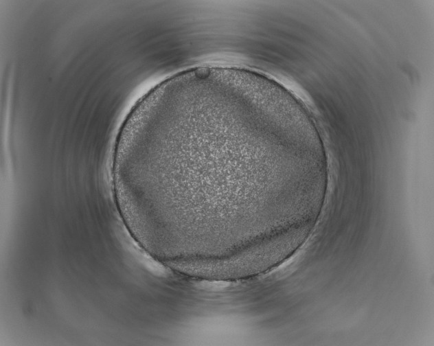 X0000112071248200908181213