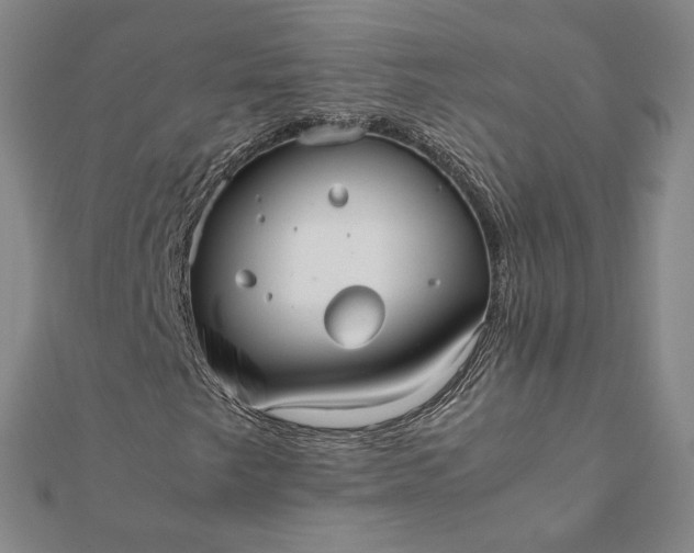 X0000112071249200908181212