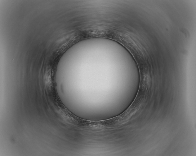 X0000112071250200908181212