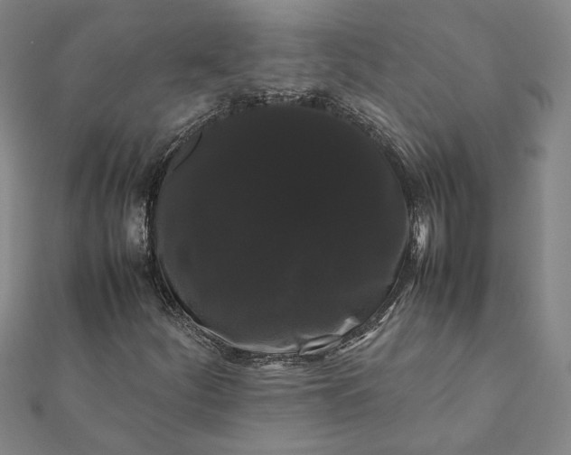 X0000112071252200908181212