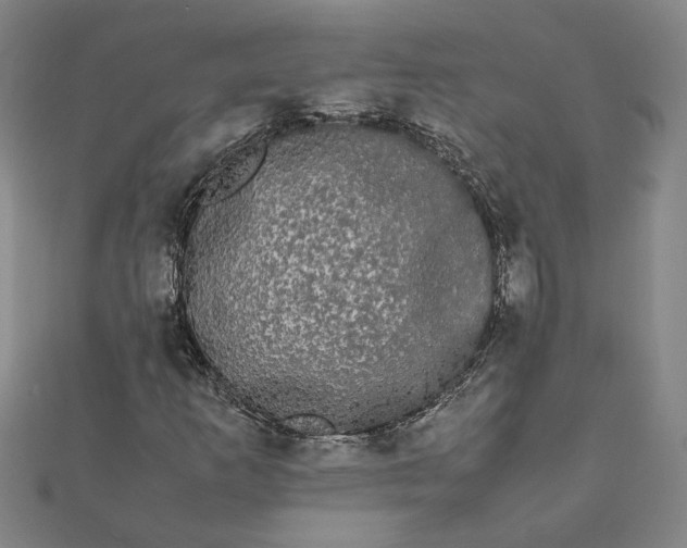 X0000112071253200908181212