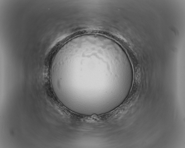 X0000112071255200908181212