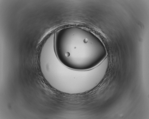 X0000112071256200908181212