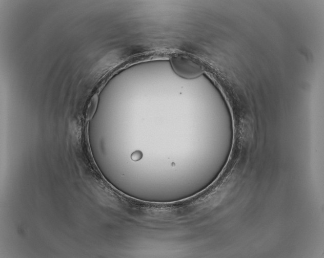 X0000112071257200908181212