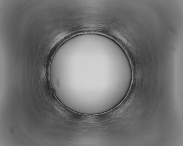 X0000112071259200908181212