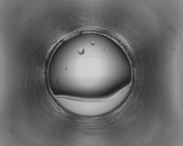 X0000112071260200908181212