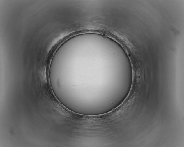 X0000112071262200908181212