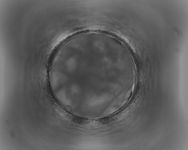 X0000112071263200908181212