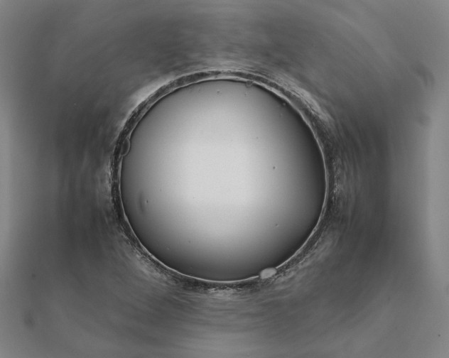 X0000112071264200908181212