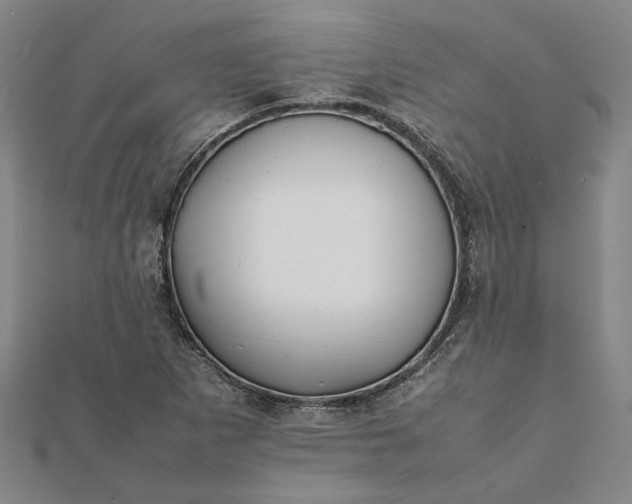 X0000112071265200908181212