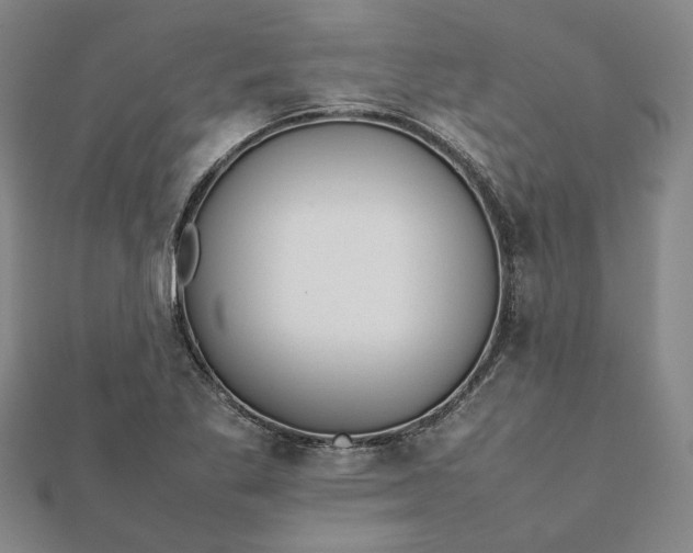 X0000112071269200908181212