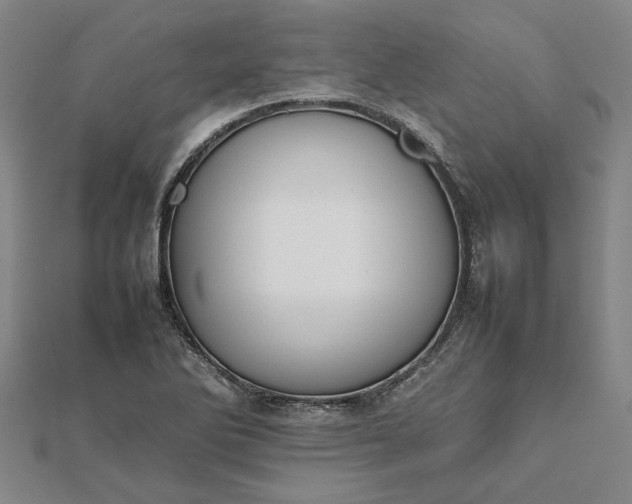 X0000112071270200908181212