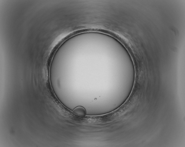 X0000112071271200908181212