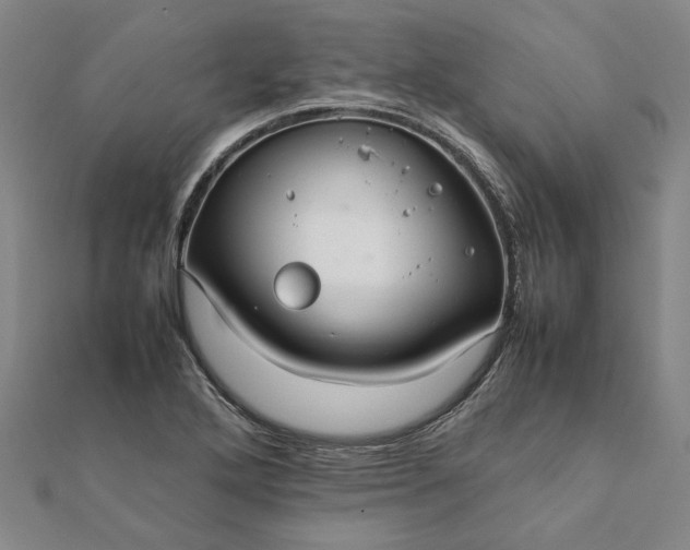 X0000112071272200908181212