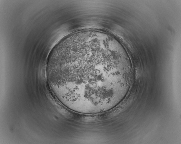 X0000112071274200908181212