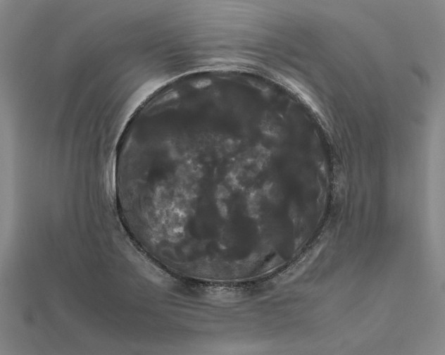 X0000112071275200908181212