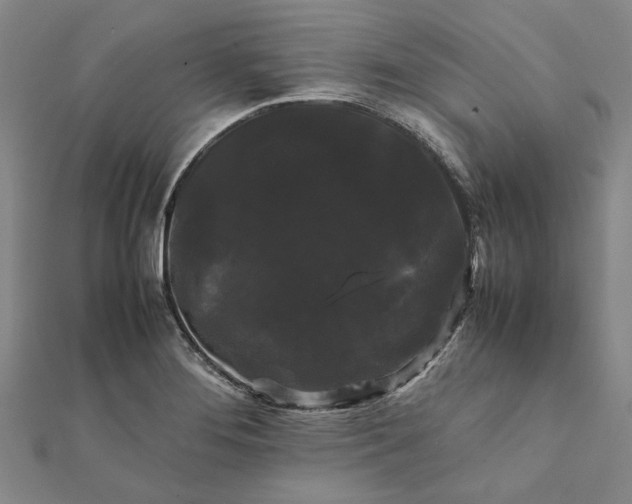 X0000112071276200908181212