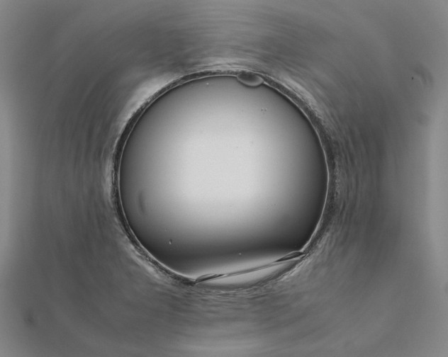 X0000112071277200908181212