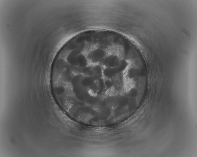 X0000112071279200908181212