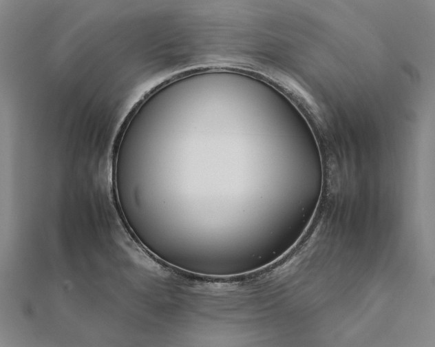 X0000112071280200908181212