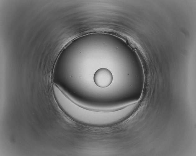 X0000112071281200908181212