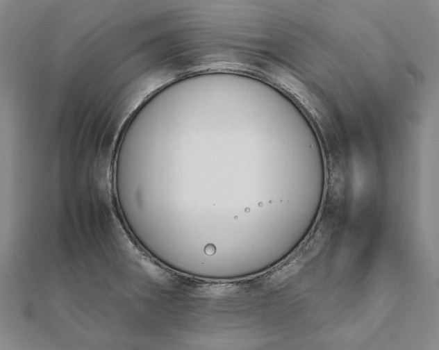 X0000112071282200908181212