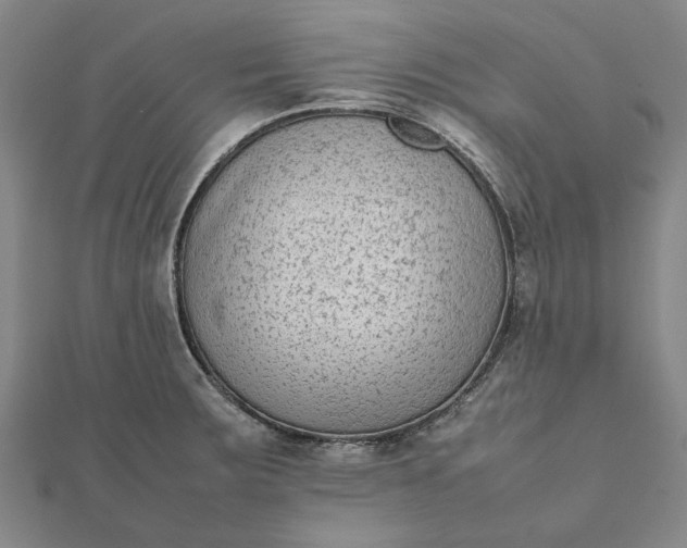 X0000112071283200908181212