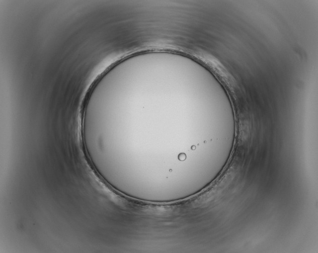 X0000112071286200908181212