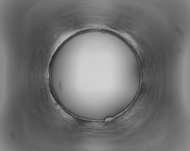 X0000112071287200908181212