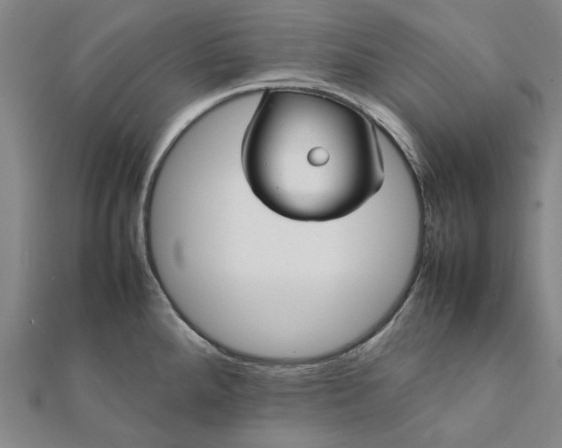 X0000112071288200908181212