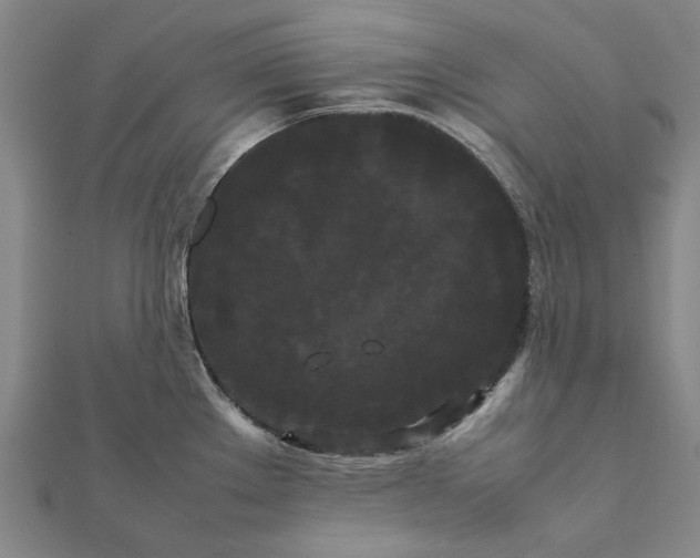 X0000112071289200908181212