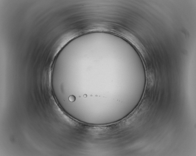 X0000112071290200908181212