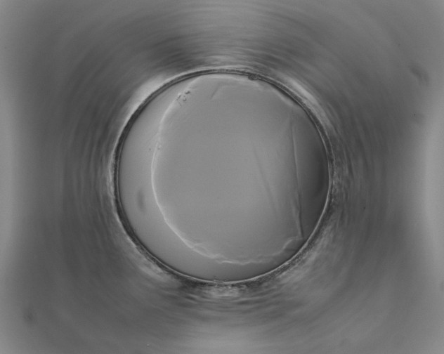 X0000112071291200908181212