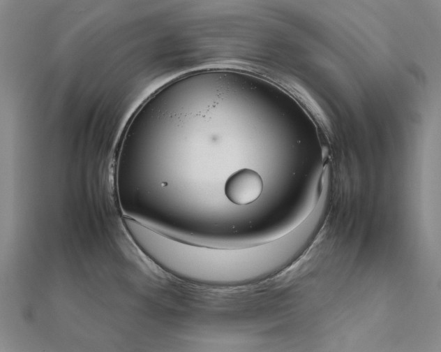 X0000112071292200908181212