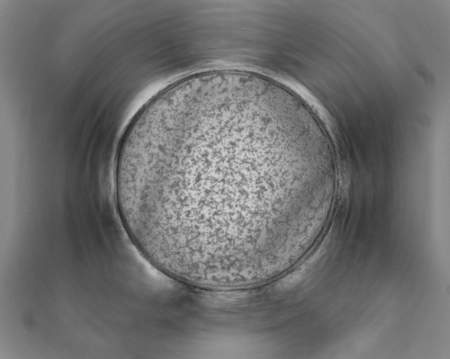 X0000112071294200908181212