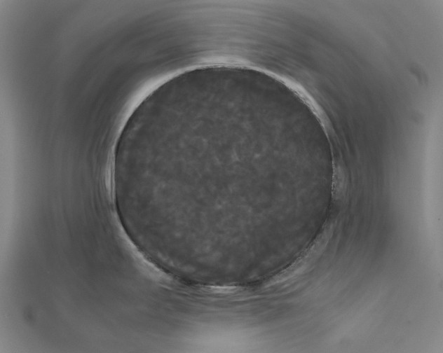 X0000112071295200908181212