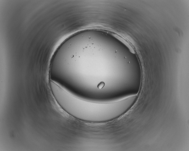 X0000112071296200908181212