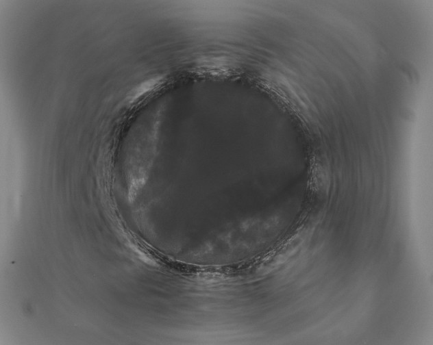 X0000112071297200908181211