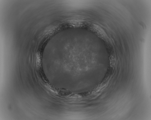 X0000112071298200908181211