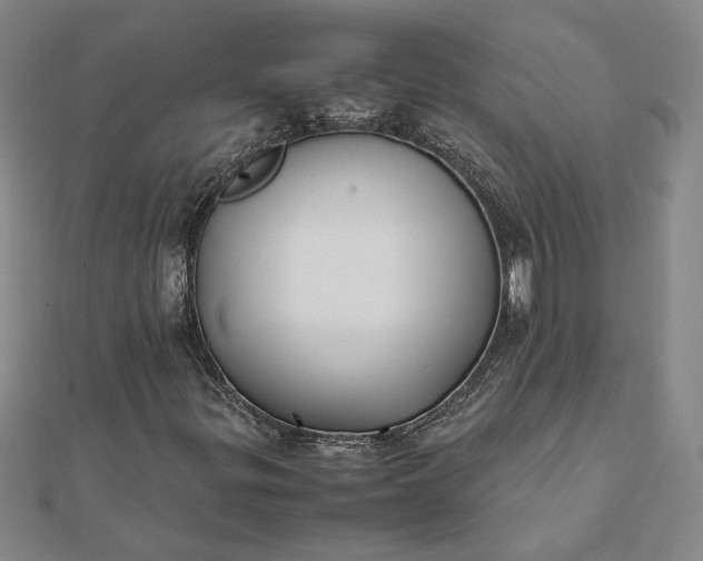 X0000112071299200908181211